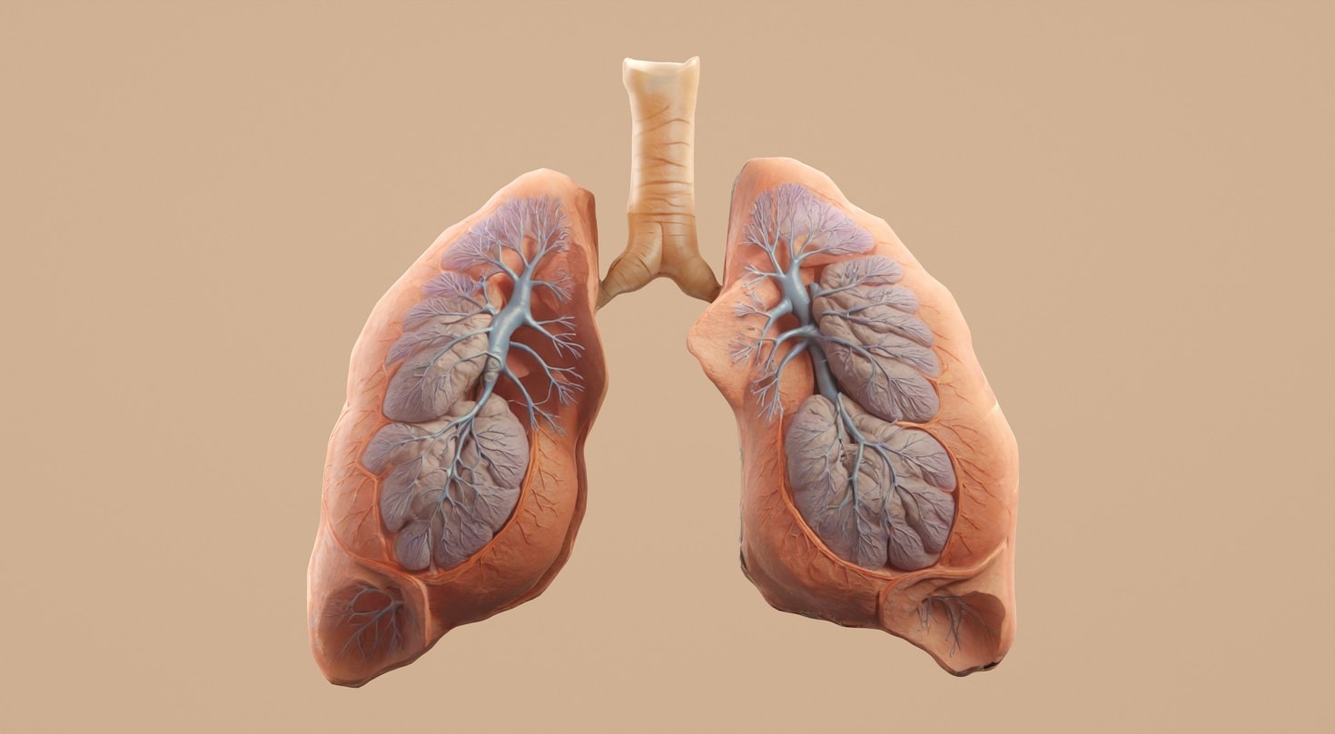 Managing Daily Medications During Your Initial Recovery